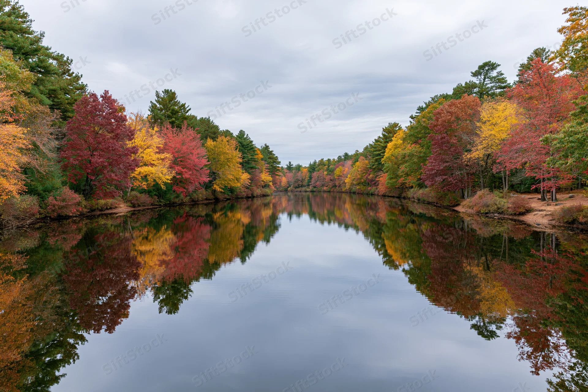 Calm river reflecting colorful autumn trees in a woodland forest