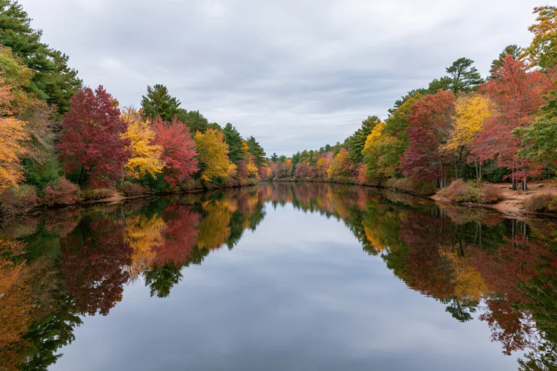 Calm river reflecting colorful autumn trees in a woodland forest