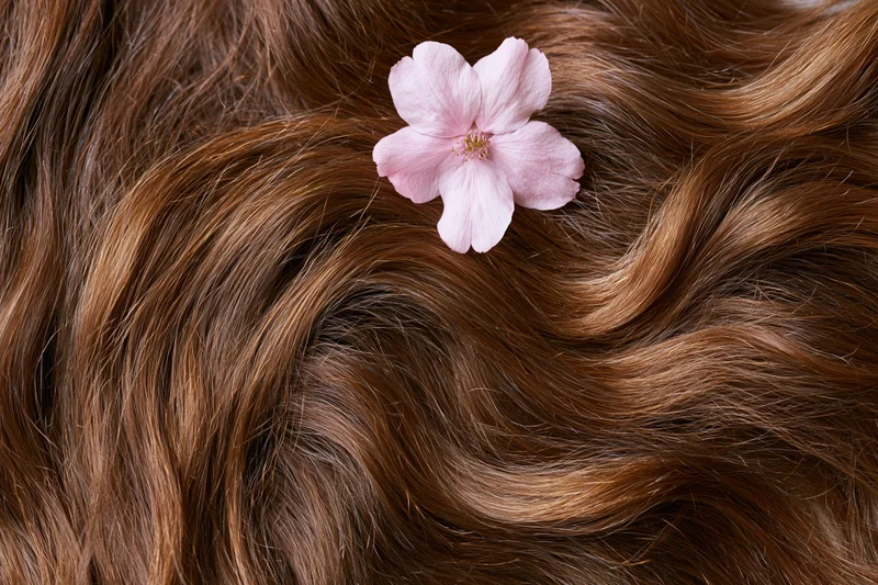 Close-up of long wavy auburn-brown hair with a pink cherry blossom resting on the strands