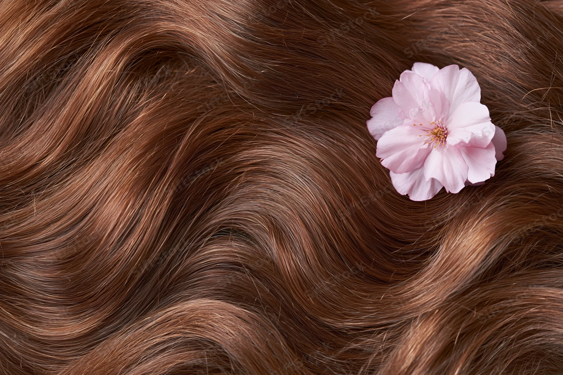 Close-up of long wavy auburn-brown hair with a pink flower resting on it, flat lay top view