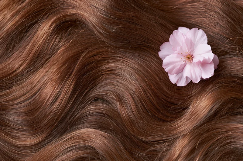 Close-up of long wavy auburn-brown hair with a pink flower resting on it, flat lay top view