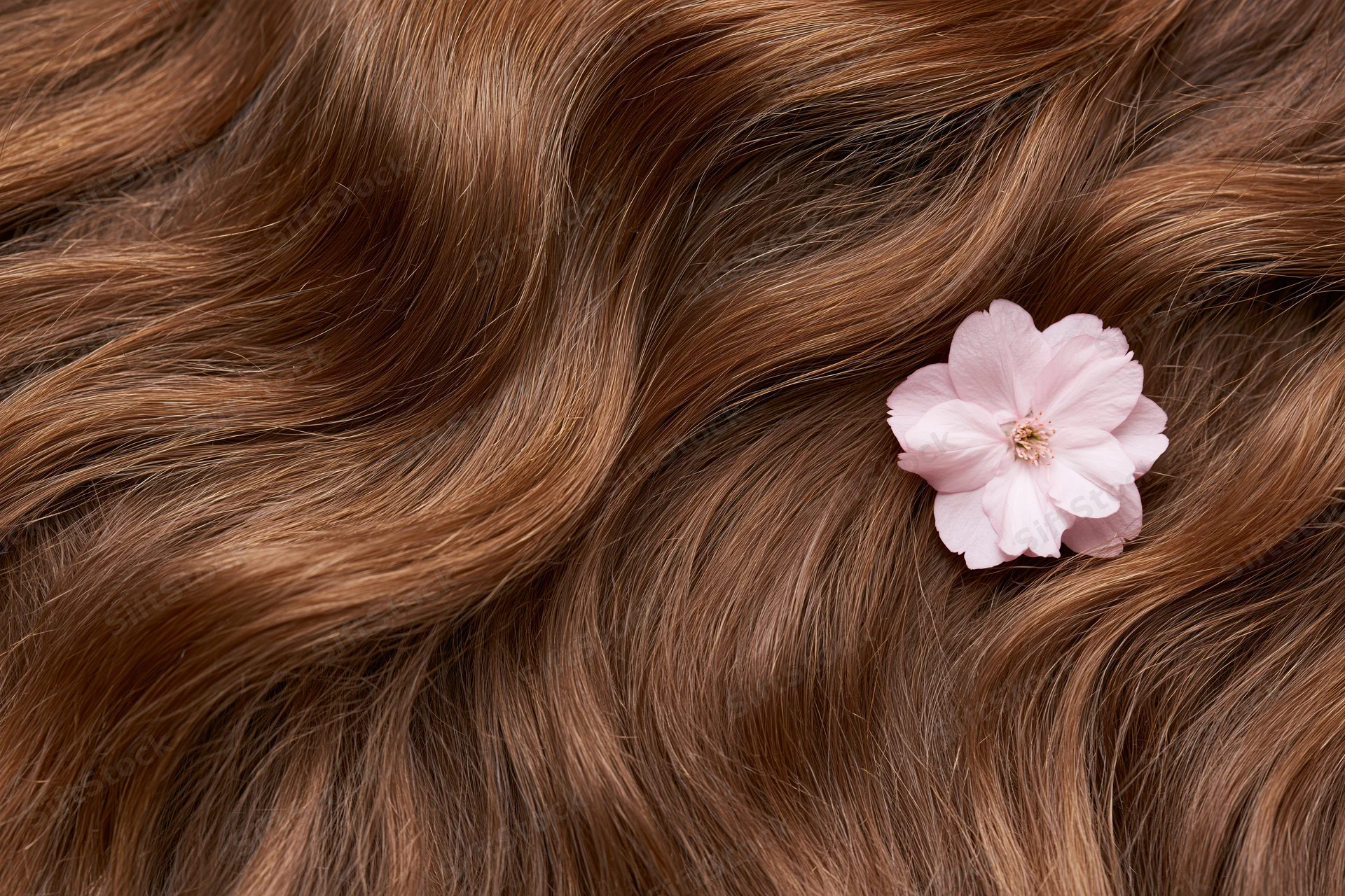 Close-up of long wavy auburn-brown hair with a pink cherry blossom resting on it in a flat lay arrangement