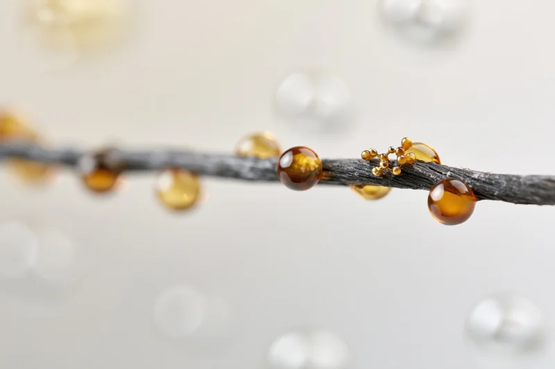 Closeup of a dark human hair strand with oil droplets and sebum beads on a light background