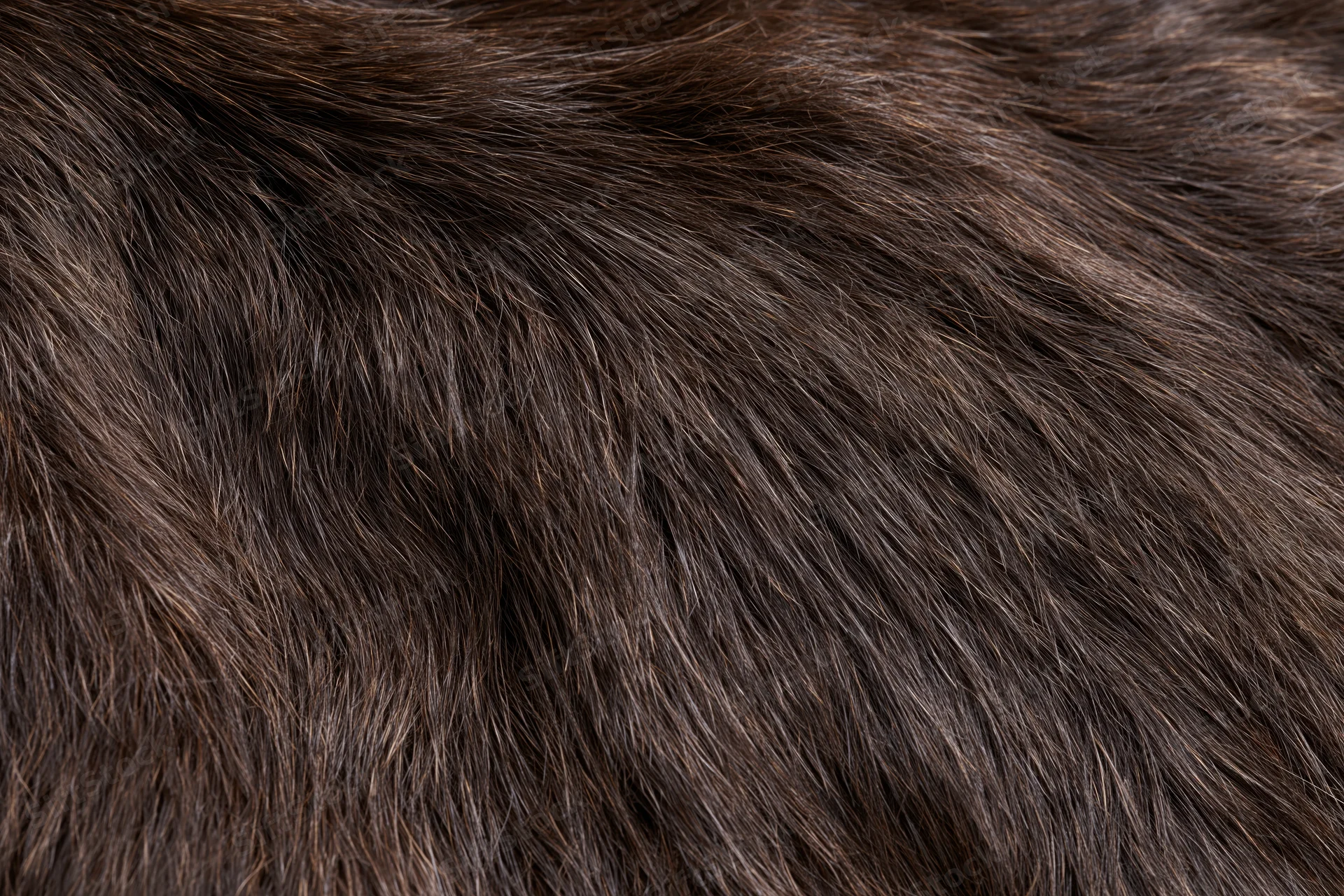 Close-up of dark brown animal fur texture filling the frame