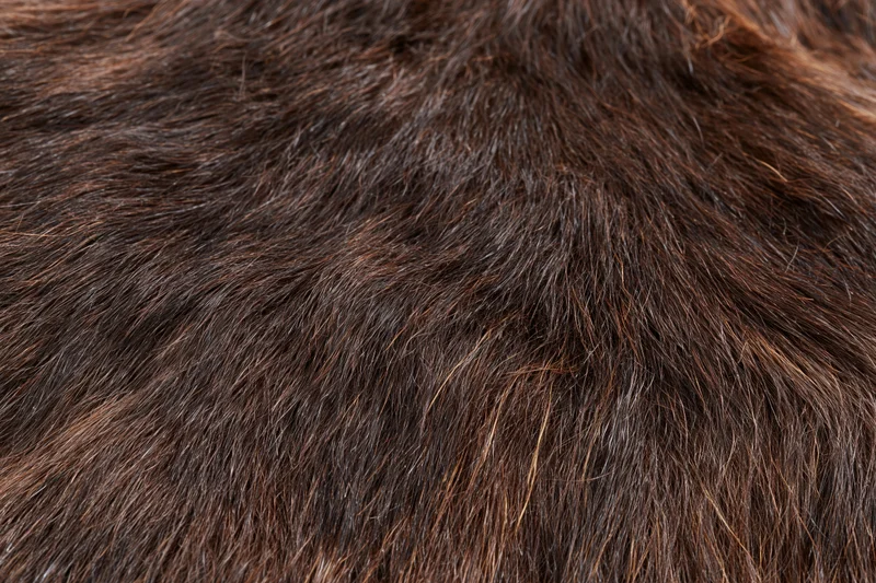Close-up of dark brown animal fur texture filling the frame