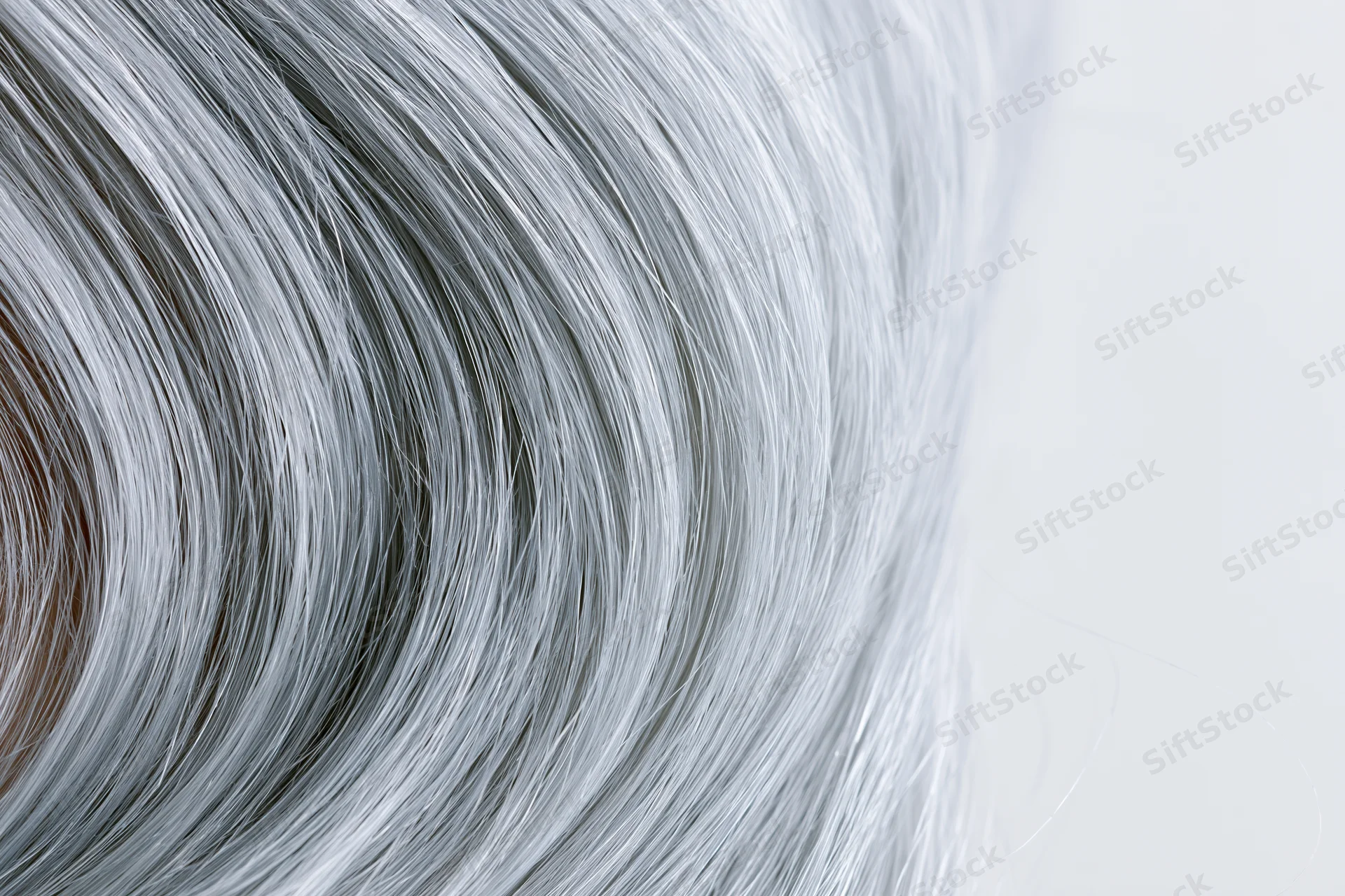 Close-up of silver-grey straight human hair strand against light background