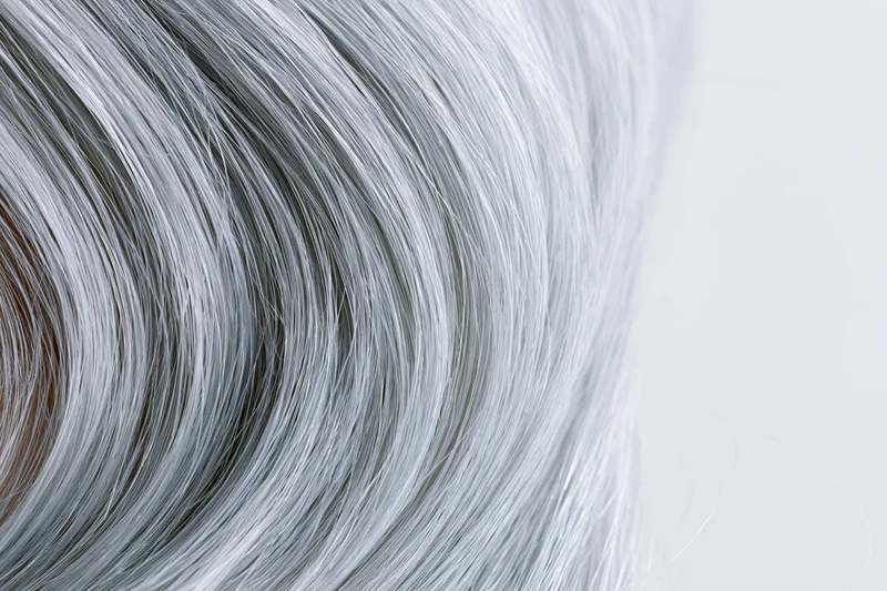 Close-up of silver-grey straight human hair strand against light background