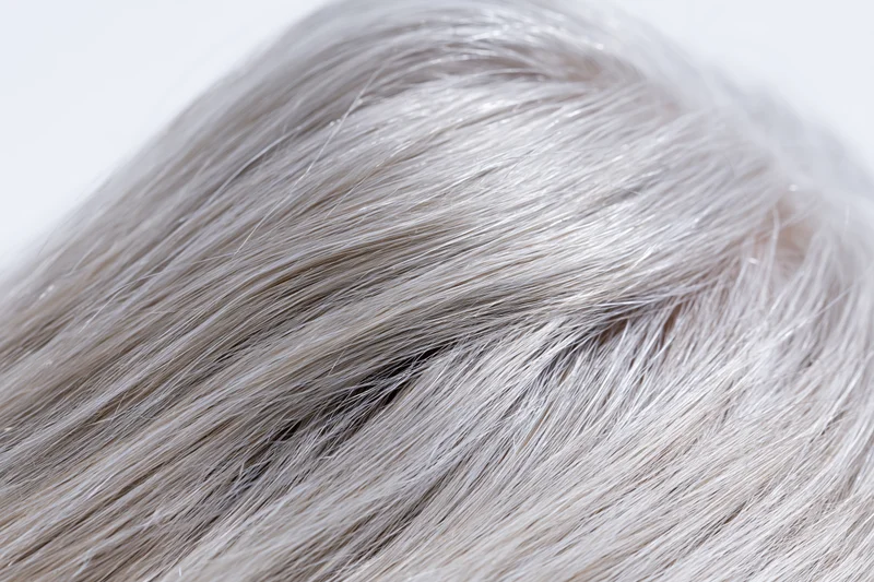Close-up of silver-grey straight human hair strand on white background