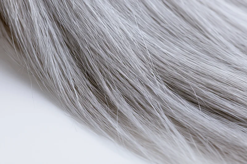 Close-up of silver-grey straight human hair strand on white background