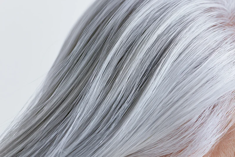 Close-up of silver-grey straight human hair strand on scalp