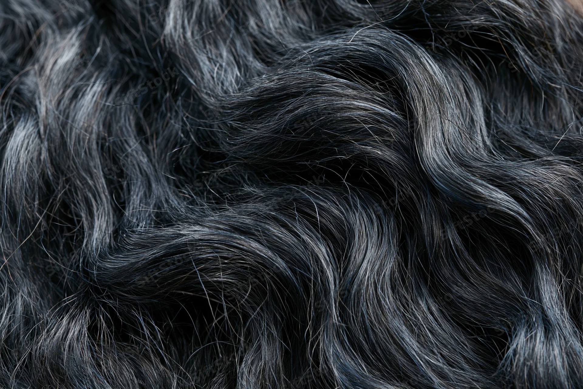 Close-up of thick wavy black hair filling the frame with natural texture and shine