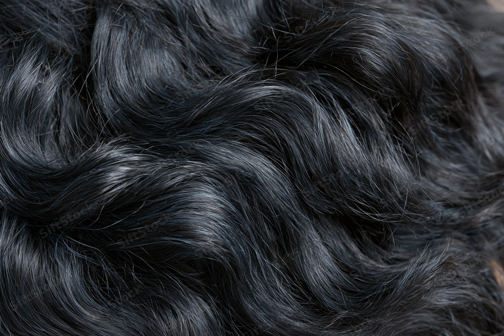 Close-up of thick wavy black hair with glossy texture filling the frame