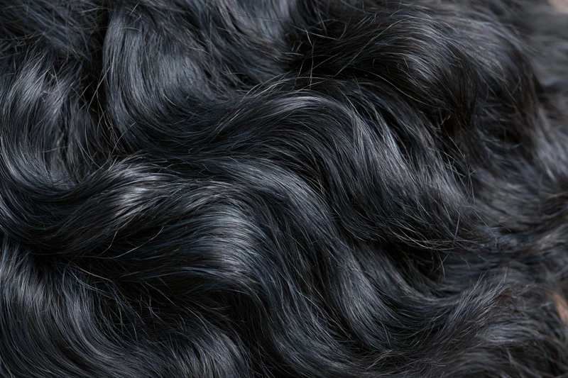 Close-up of thick wavy black hair with glossy texture filling the frame