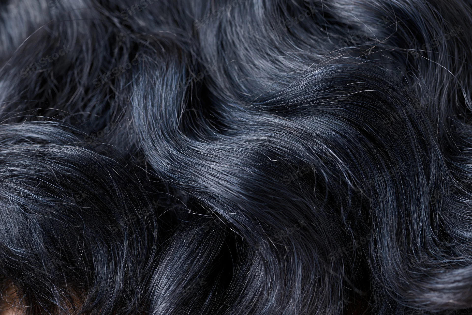 Close-up of thick wavy black hair with glossy texture filling the frame