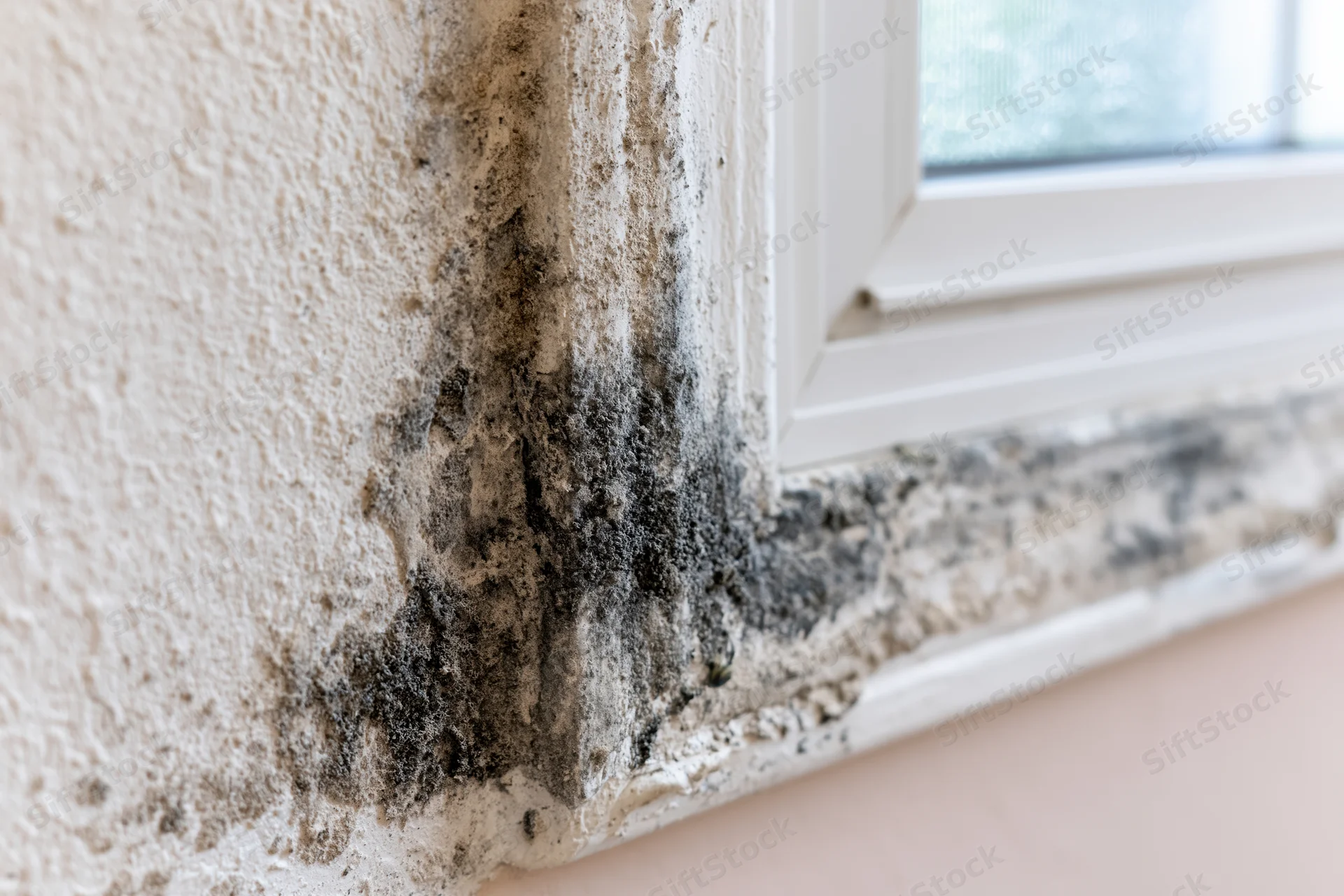 Black mold spreading on textured wall near white window frame indoors