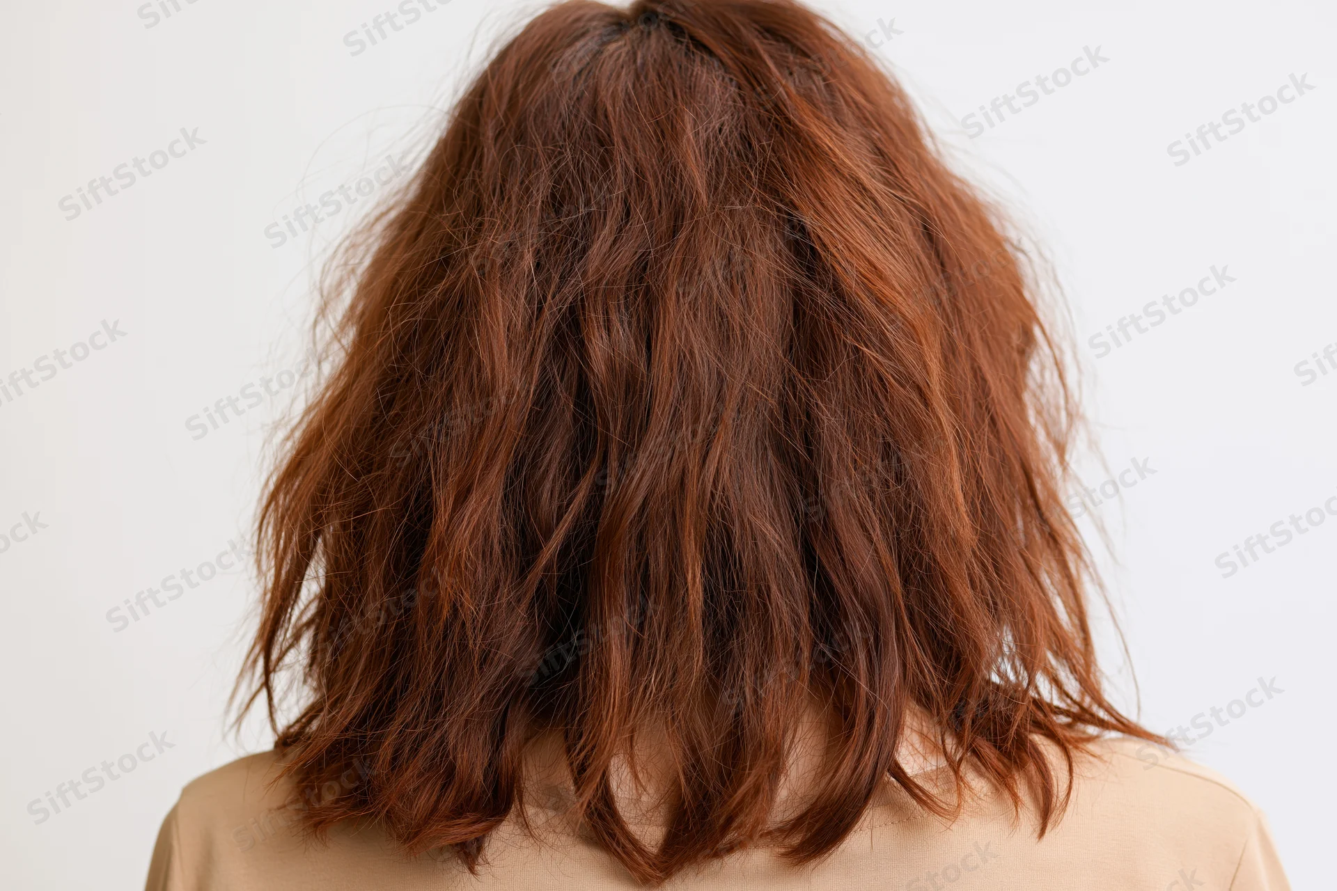 Back of a woman’s head showing frizzy dry wavy brown hair, close-up view
