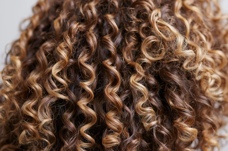 Close-up of thick curly hair with warm caramel highlights and natural texture