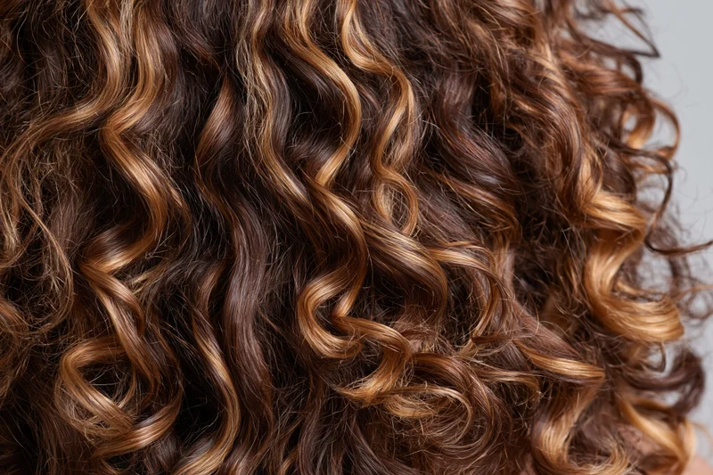 Close-up of thick curly hair with warm caramel highlights and natural texture