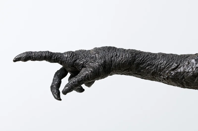 Dark bronze sculpture of a clawed creature hand pointing forward against white background