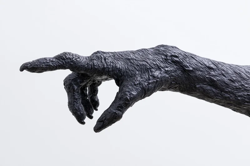 Dark bronze sculpture of a clawed creature hand pointing forward against white background