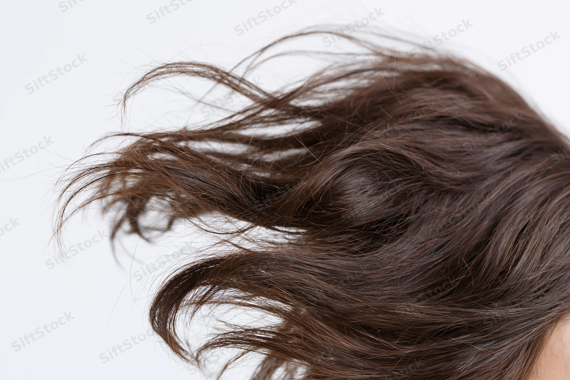 Dark brown human hair mid-toss frozen in motion against white background