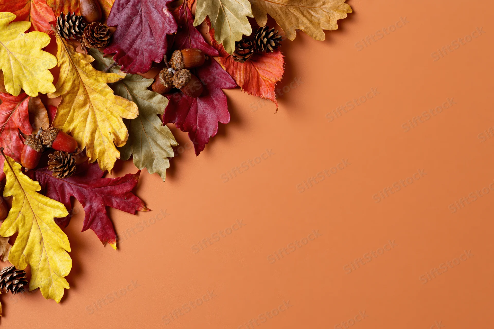 Dried autumn leaves acorns and pinecones arranged in corner on orange background