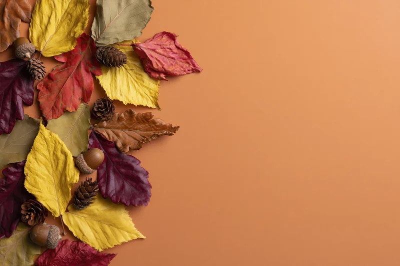 Dried autumn leaves acorns and pinecones arranged on orange surface with copyspace