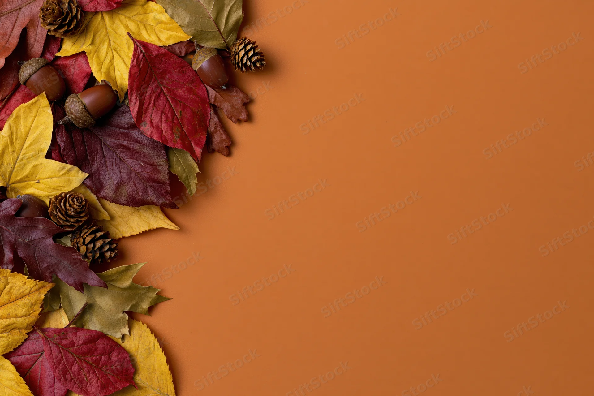 Dried autumn leaves, acorns and pinecones arranged in a corner on orange background with copyspace