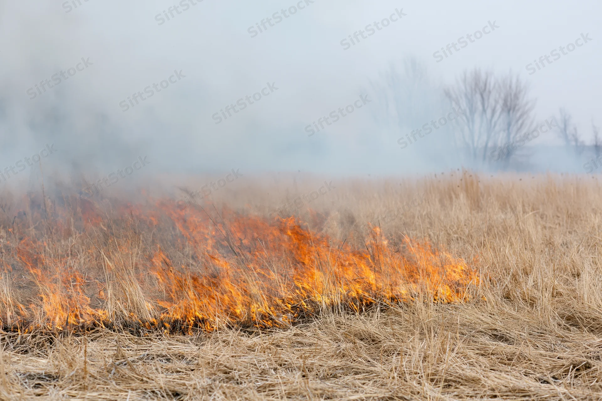 Low flames burning through dry grass in an open field with smoke rising under an overcast sky