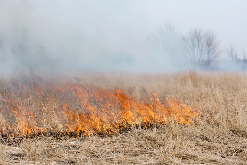 Low flames burning through dry grass in an open field with smoke rising under an overcast sky