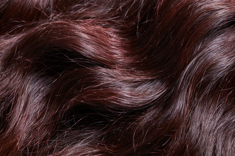 Closeup of dark brown wavy hair strands with glossy texture
