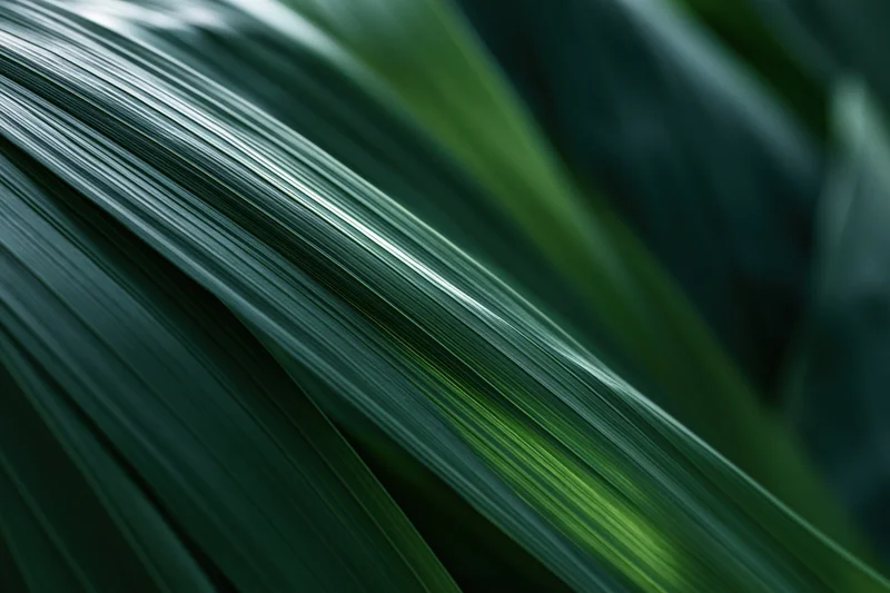 Closeup of overlapping tropical plant leaves showing detailed texture and natural green hues