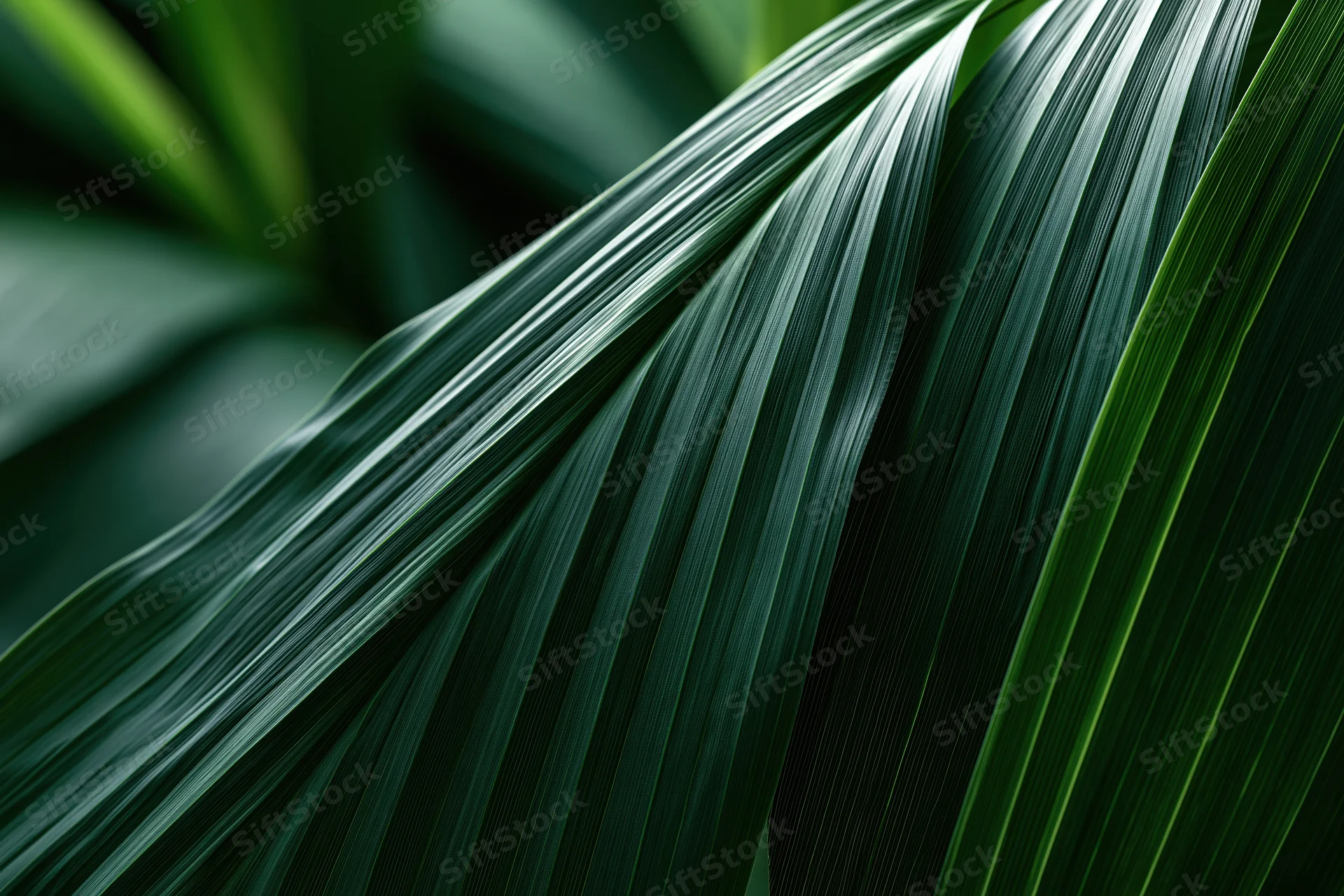 Closeup of overlapping tropical plant leaves showing detailed texture and natural patterns