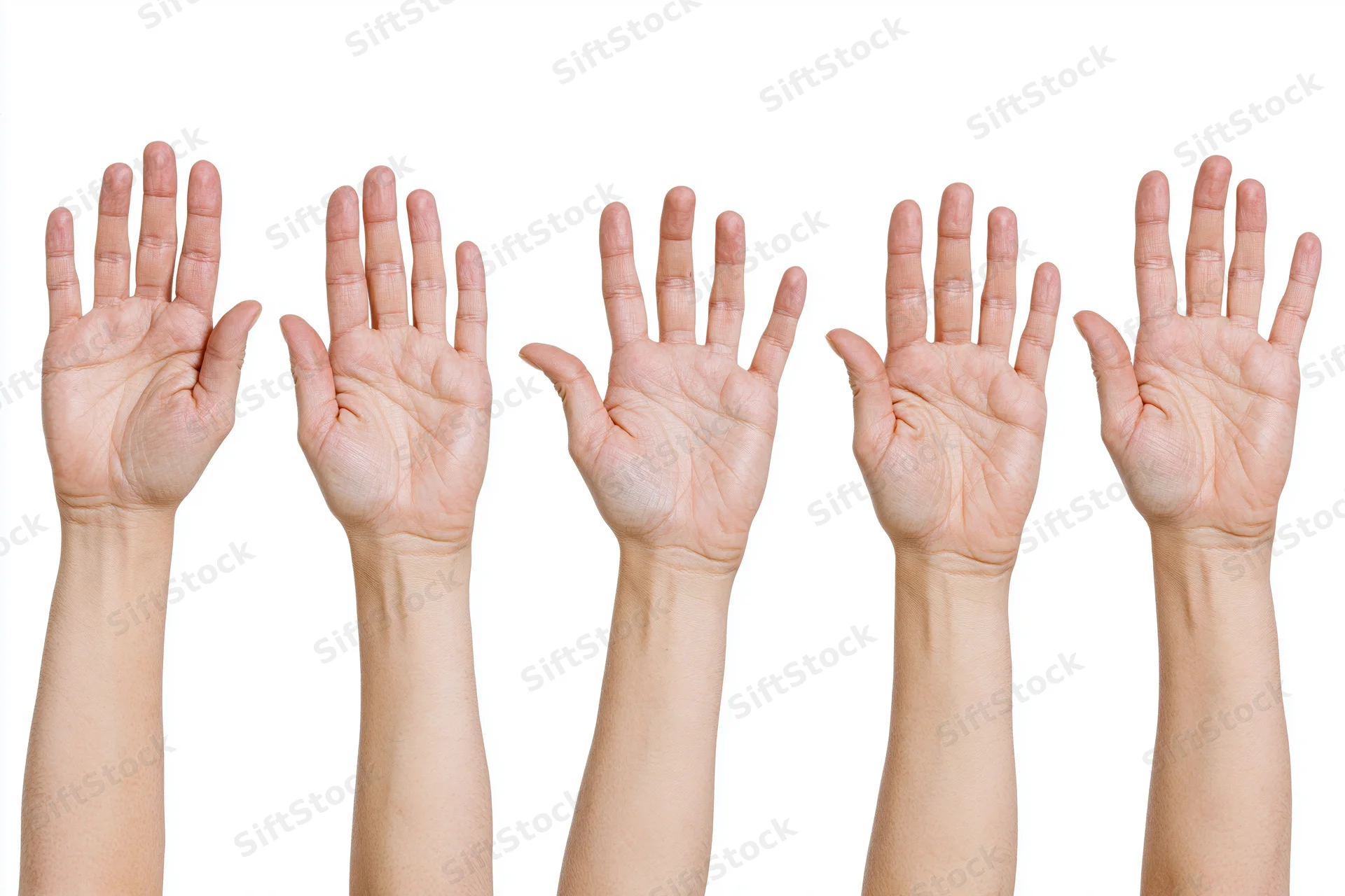 Five female hands raised palm up against a white background
