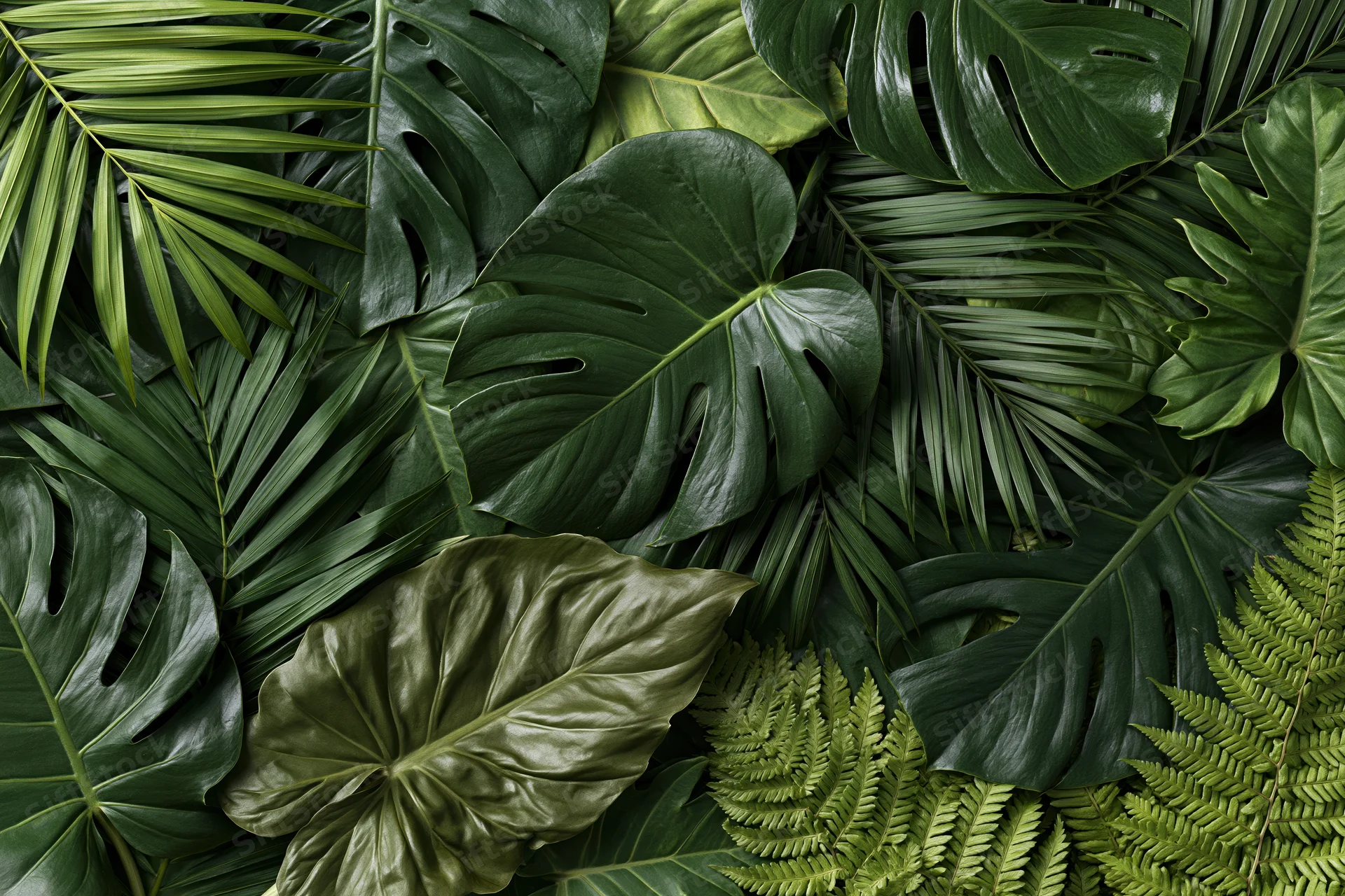 Overlapping tropical leaves arranged in a flat lay composition filling the frame