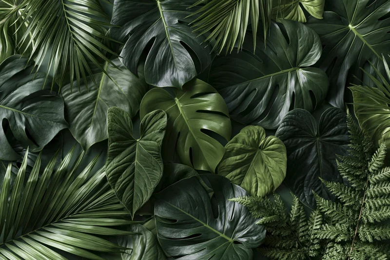 Overlapping tropical leaves arranged in a flat lay composition filling the frame