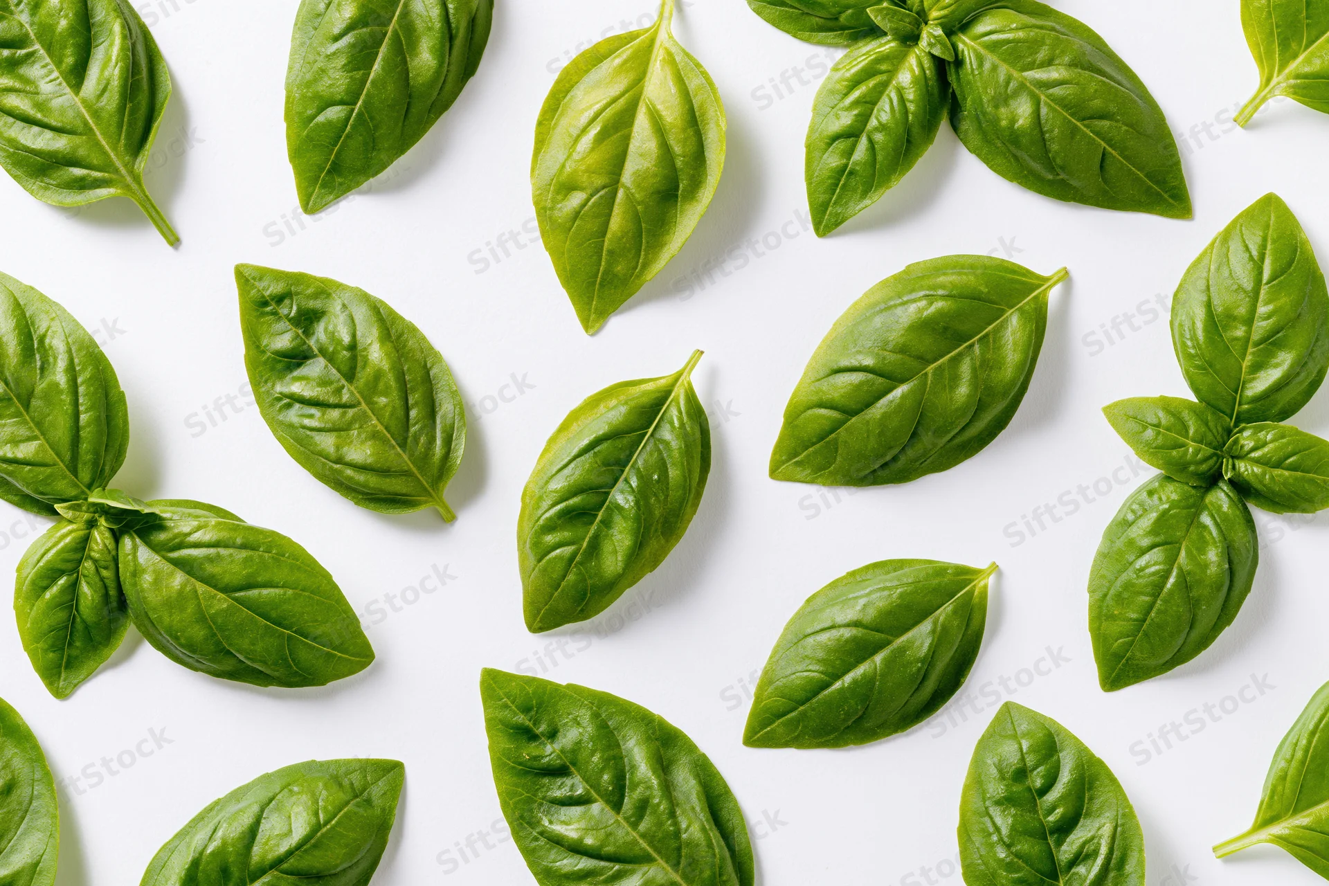 Fresh basil leaves scattered across a white surface