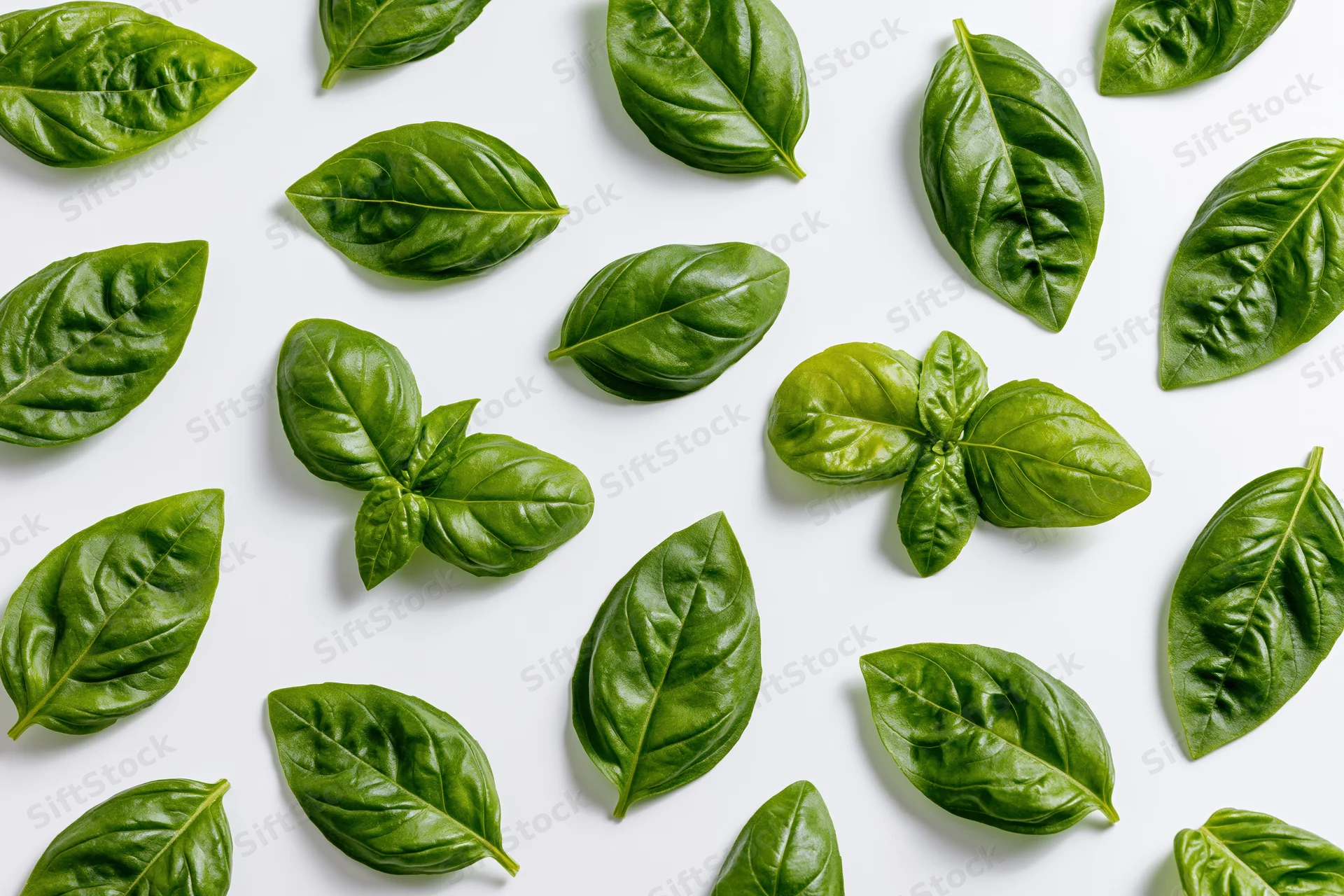 Fresh basil leaves scattered across a white surface in a flat lay arrangement