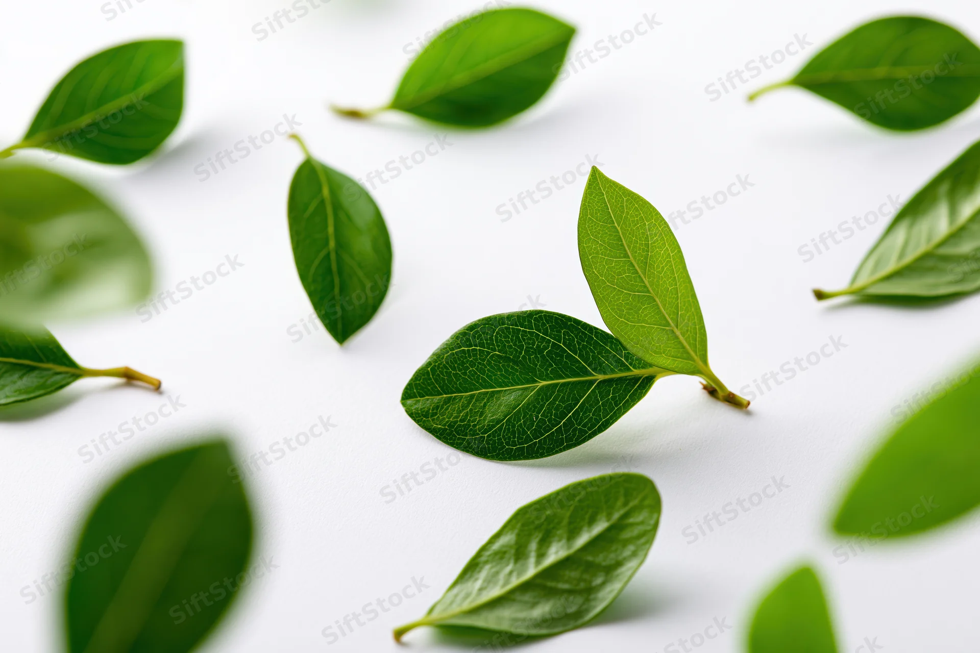Green leaves scattered on a white surface