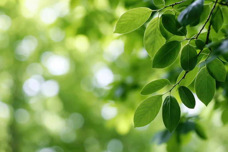 Green leaves on a branch framing the right side of the image with a blurred natural background