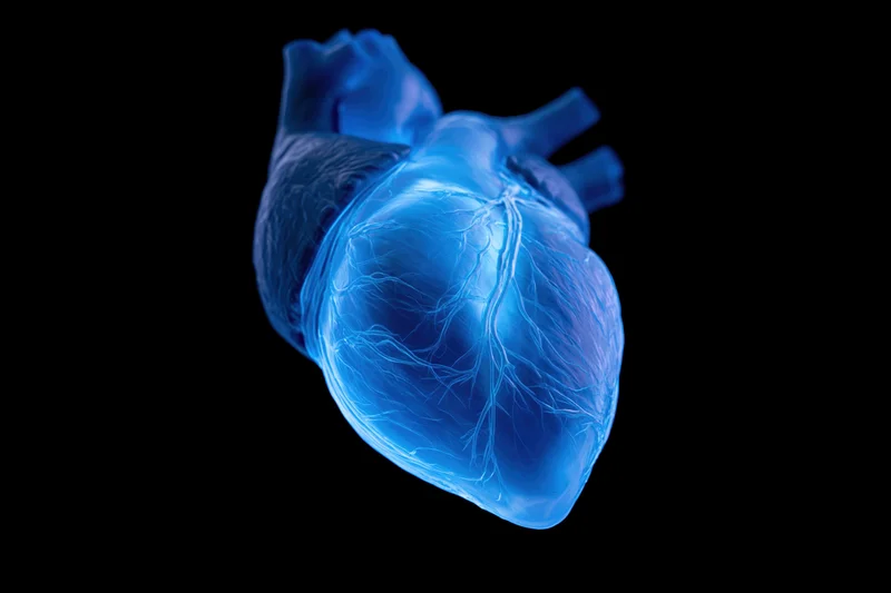 Glowing blue anatomical human heart model floating against black background