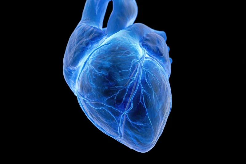 Glowing blue anatomical human heart model floating against a black background