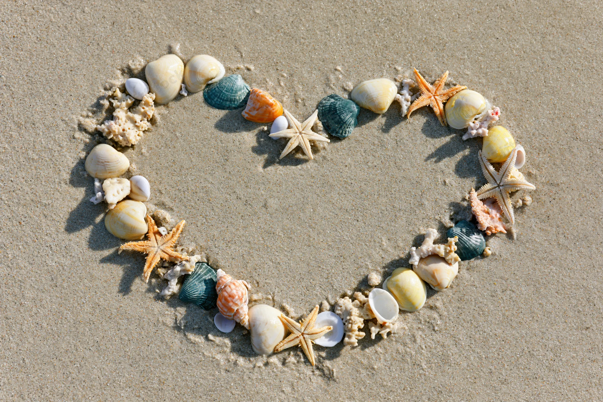 Heart shape made of seashells and starfish arranged on sandy beach