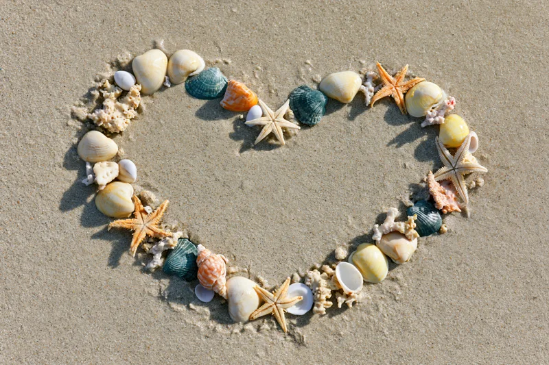 Heart shape made of seashells and starfish arranged on sandy beach