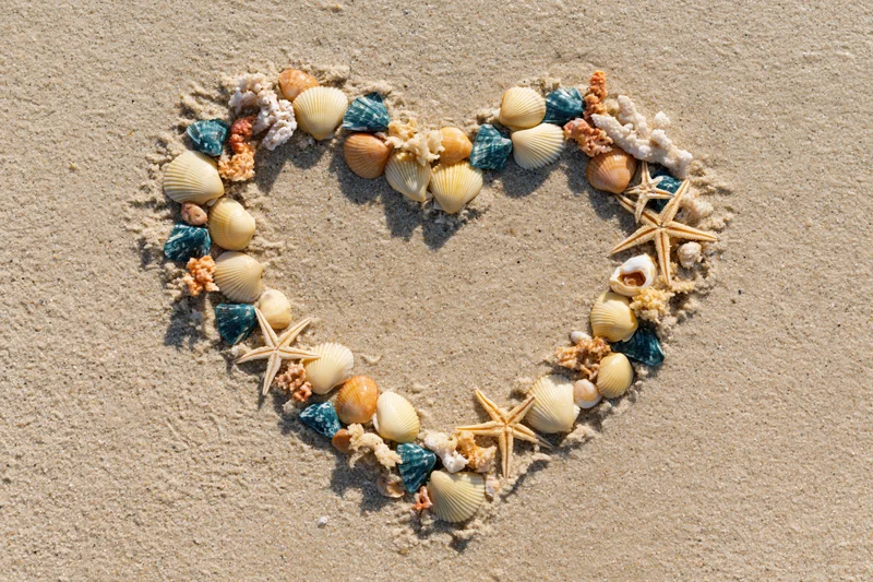 Heart shape made of seashells and starfish arranged on sandy beach