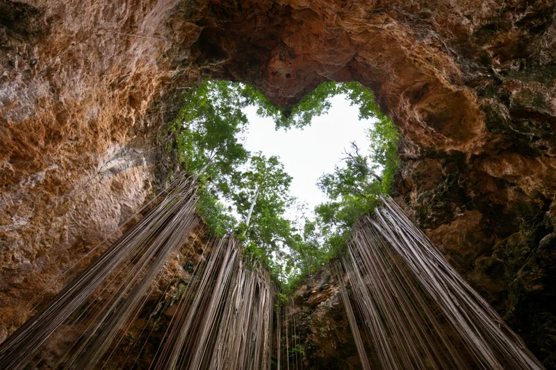 View from inside a cenote looking up through a rock opening at trees and sky