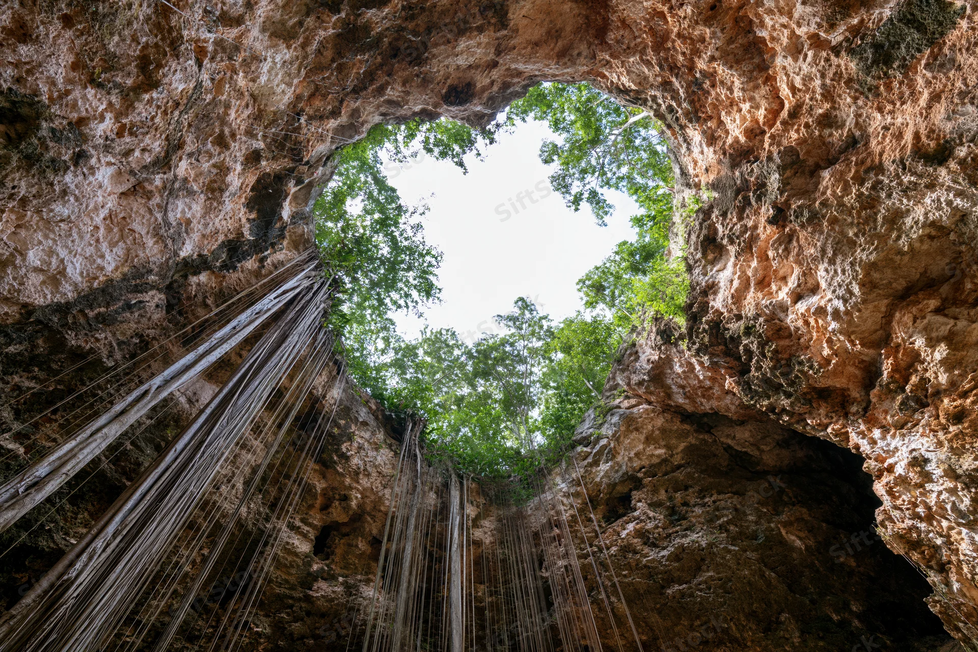 View from inside a cenote looking up through a circular rock opening at trees and sky