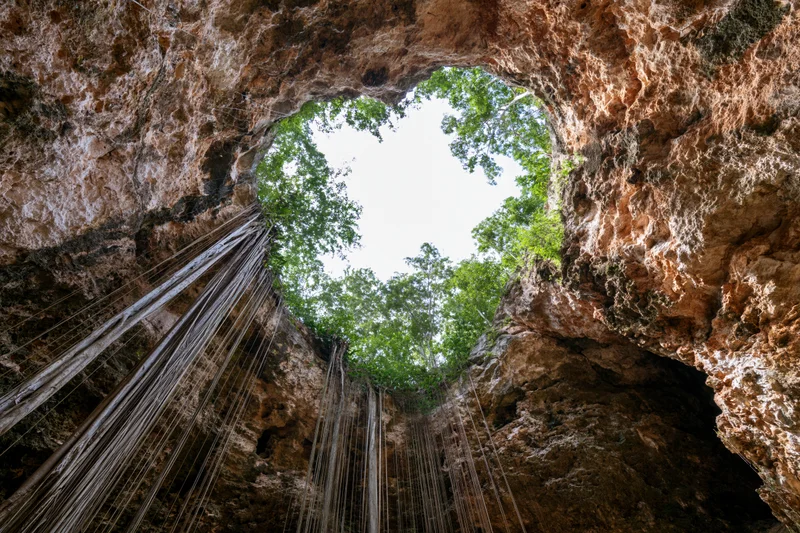 View from inside a cenote looking up through a circular rock opening at trees and sky