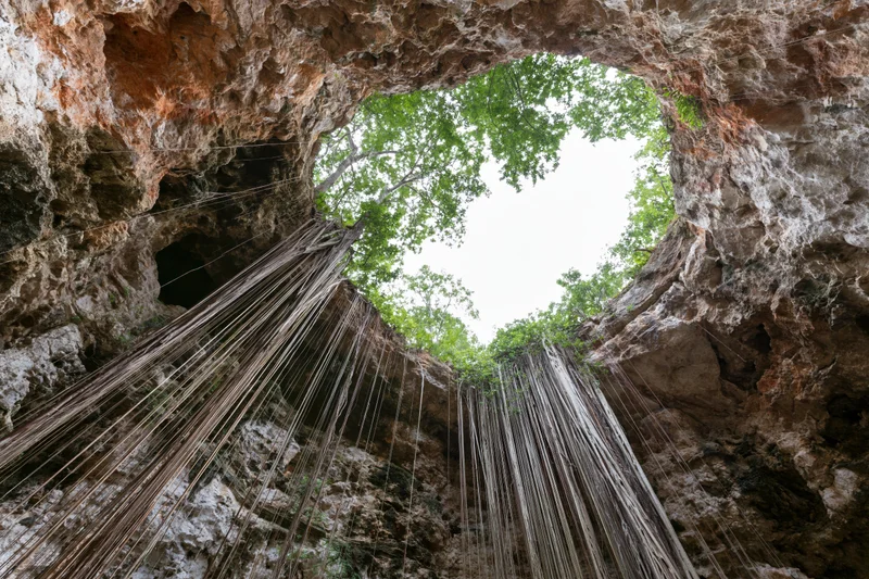 View from inside a cenote looking up through a natural rock opening at trees and sky