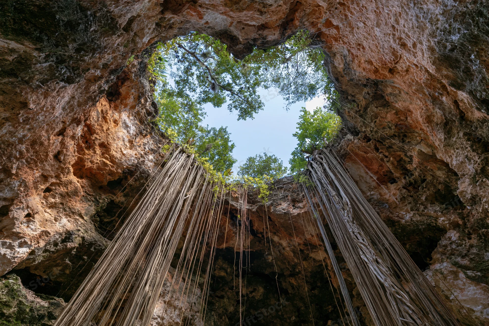 Upward view from inside a cenote showing sky and trees through a rocky opening with hanging roots